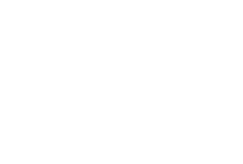 Oberlausitz Style
